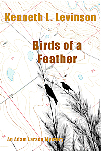 Birds of a Feather cover